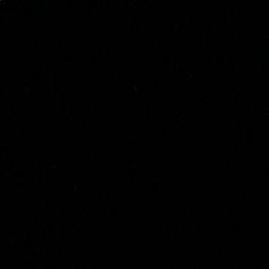 Meet your Posher, Cassidy